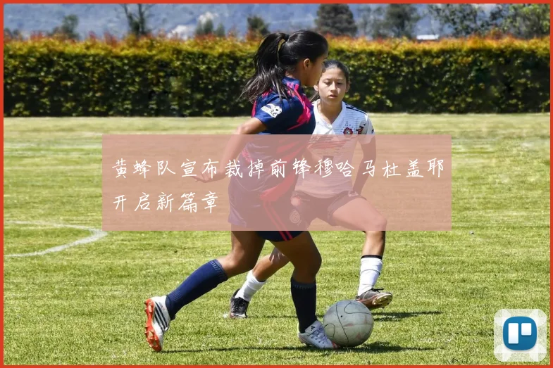 黄蜂队宣布裁掉前锋穆哈马杜盖耶开启新篇章